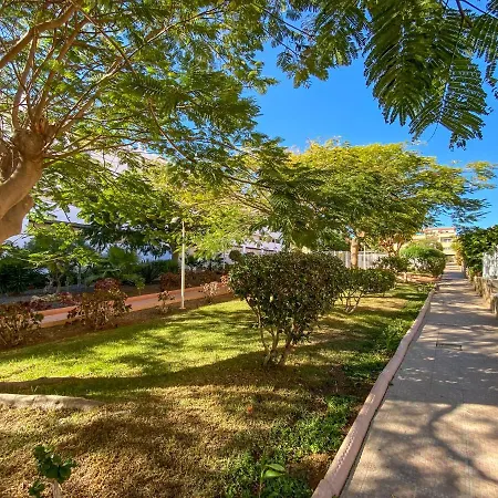 Hot Holiday - 1br - 4 Guests - Free Wi-fi * Costa Adeje (Tenerife)